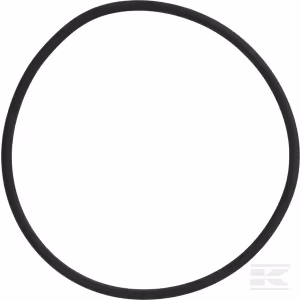L.395577X1-365801X1 ANELLO OR X DISTRIBUTORE PZ.1