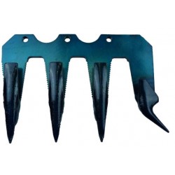 PRIMA SEZ.DENTE COMPLETA
