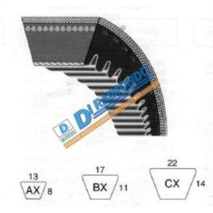 CINGHIA B 63 DENTATA