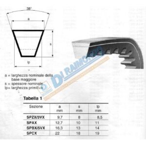 CINGHIA DENTATA SPZX 787