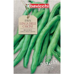 FAVA LUNGA DELLE CASCINE GR.500